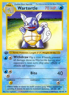 Wartortle #42