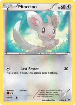 Minccino #84