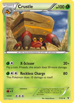 Crustle #7