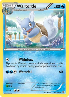 Wartortle #30