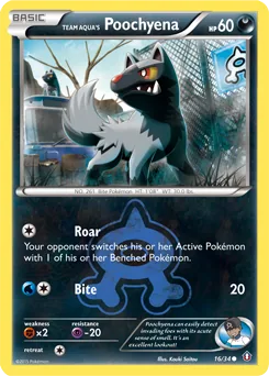 Team Aqua's Poochyena #16