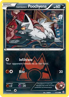 Team Magma's Poochyena #17