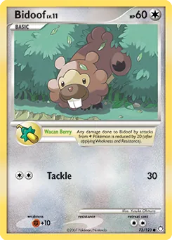 Bidoof #73