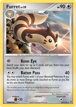 Furret #27