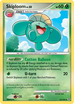 Skiploom #65