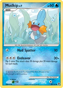 Mudkip #80