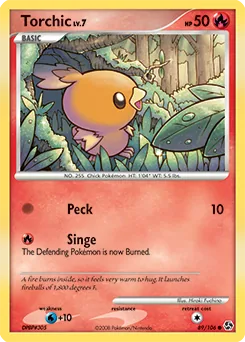 Torchic #89