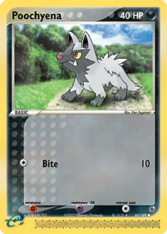 Poochyena #63