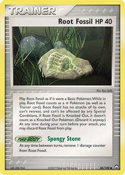 Root Fossil #86