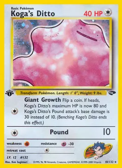 Koga's Ditto #10