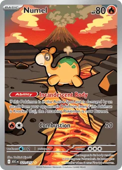 Numel #223