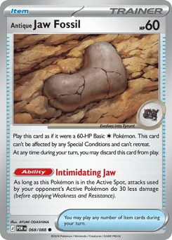 Antique Jaw Fossil #68