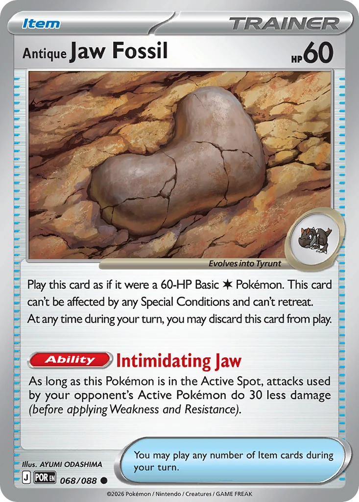 Antique Jaw Fossil