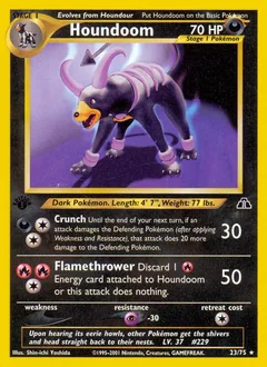 Houndoom #23