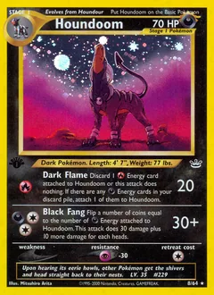 Houndoom #8