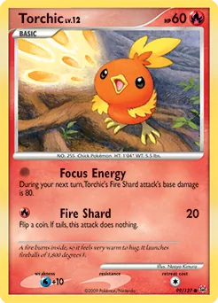 Torchic #99