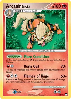 Arcanine #1
