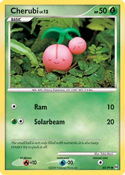 Cherubi #60