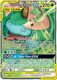 Venusaur & Snivy-GX #1