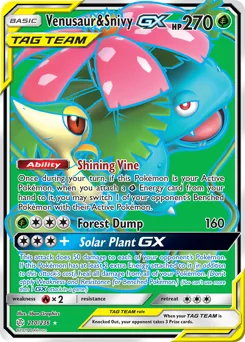Venusaur & Snivy-GX #210