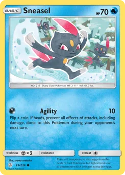 Sneasel #43