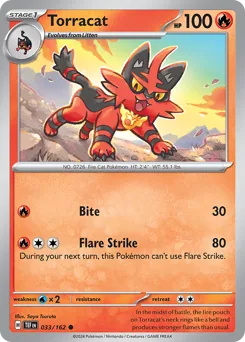 Torracat #33