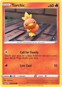Torchic #22
