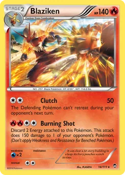 Blaziken #14