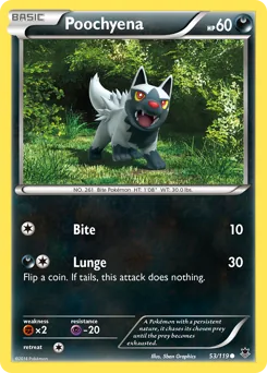 Poochyena #53