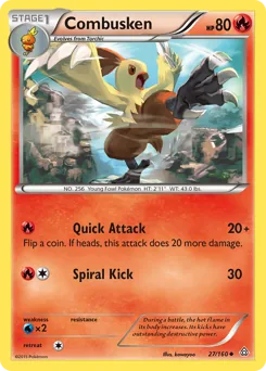 Combusken #27